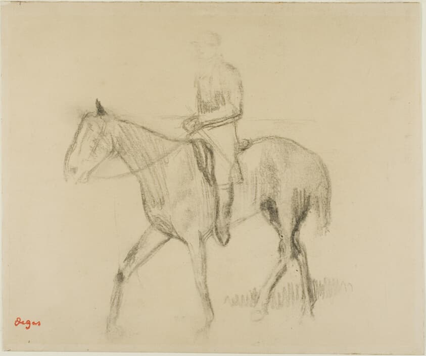 Rider