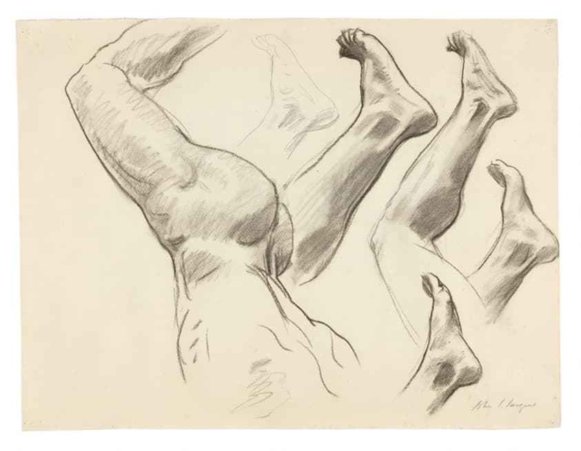 Studies of Movement